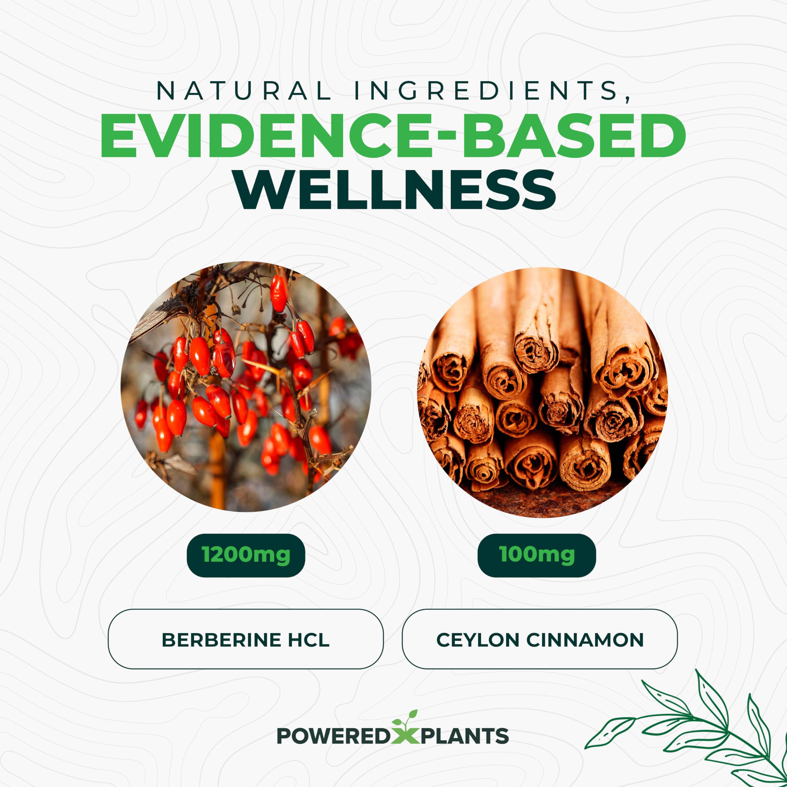 Powered X Plants Ceylon cinnamon stick with berberine for flavor and aroma.