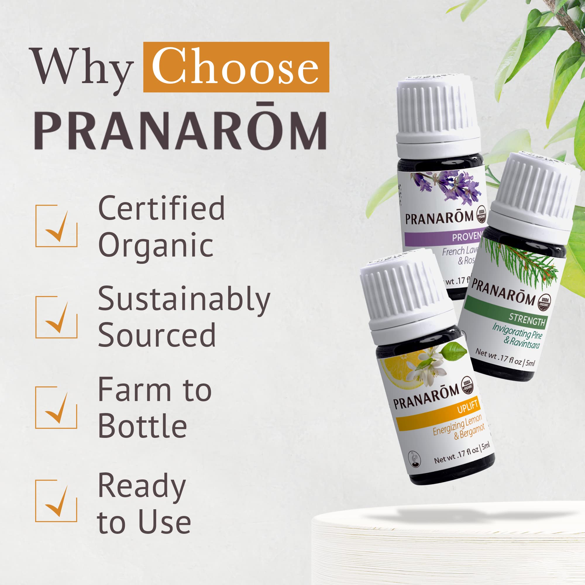 Pranarom uplift diffusion lifestyle shot highlights fresh room ambience.