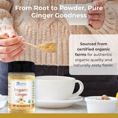 Scoop of Premier Organic Ginger Root Powder for precise measuring in tea and recipes