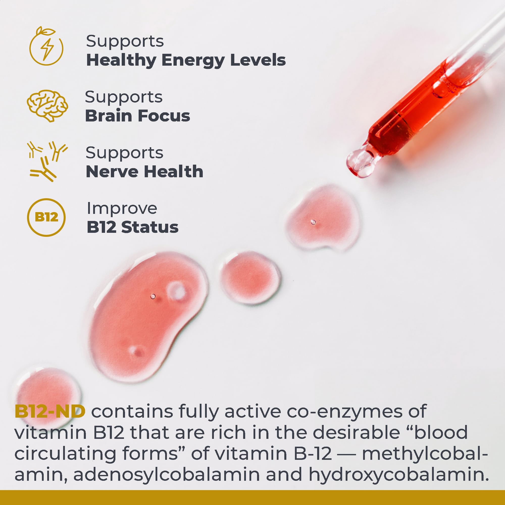 Active B12 forms in B12-ND: methylcobalamin, adenosylcobalamin, hydroxycobalamin.