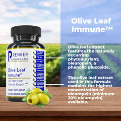 Premier Research Labs Olive Leaf Immune capsules display natural olive leaf extract benefits