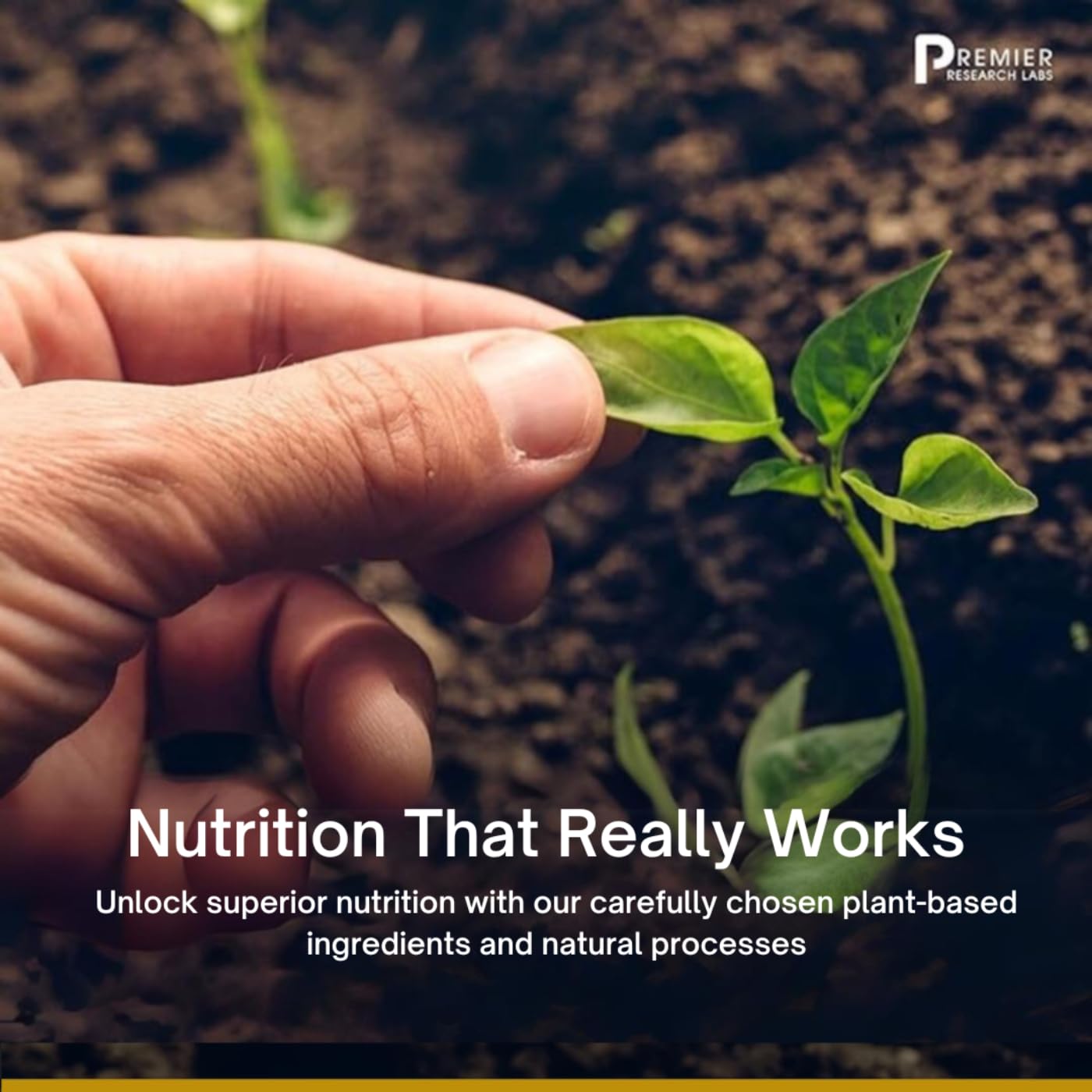 Premier HCL digestive health scene illustrating meal time use