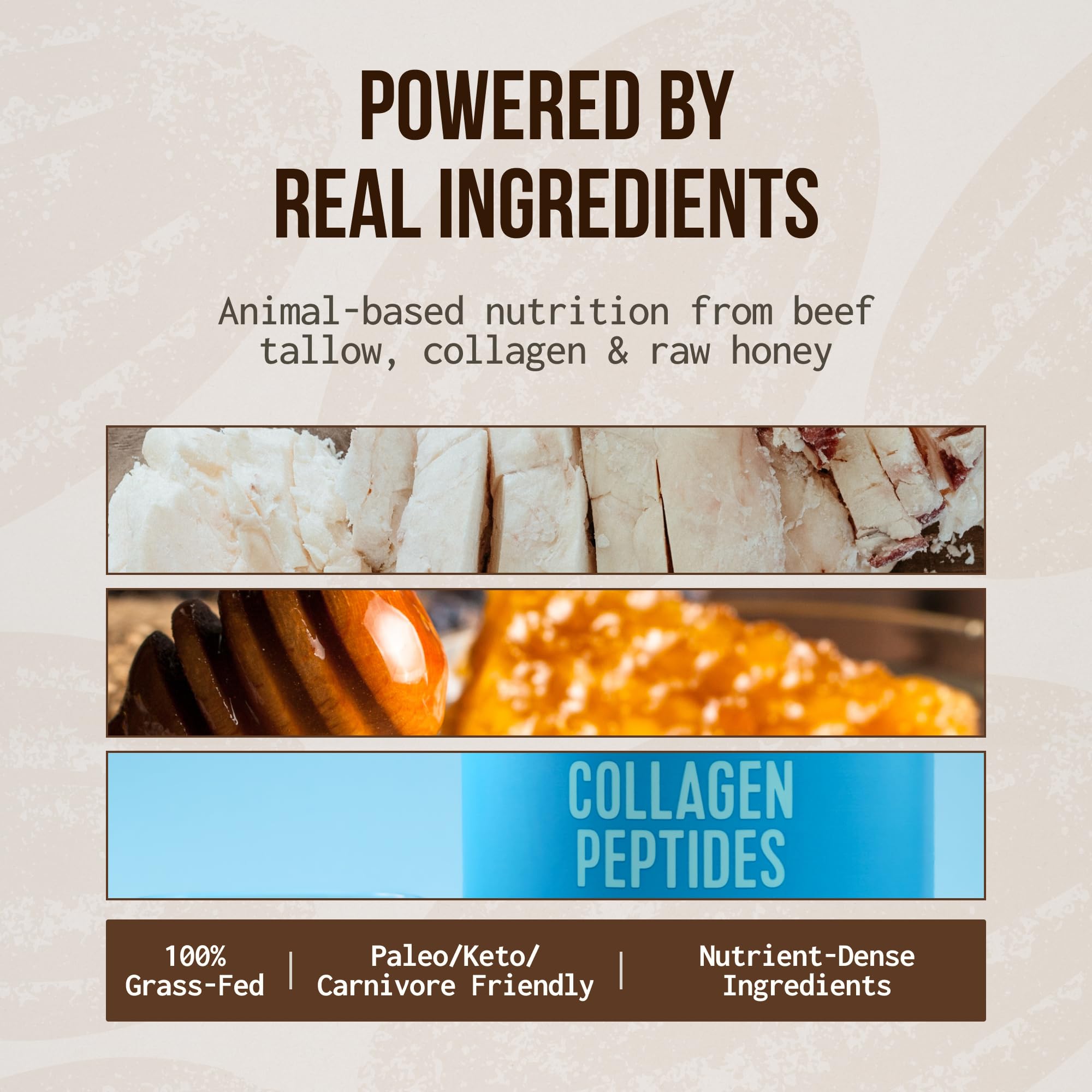 PRIMA ANCESTRAL PROTEIN BAR mocha crumbly texture, easy to bite during workouts