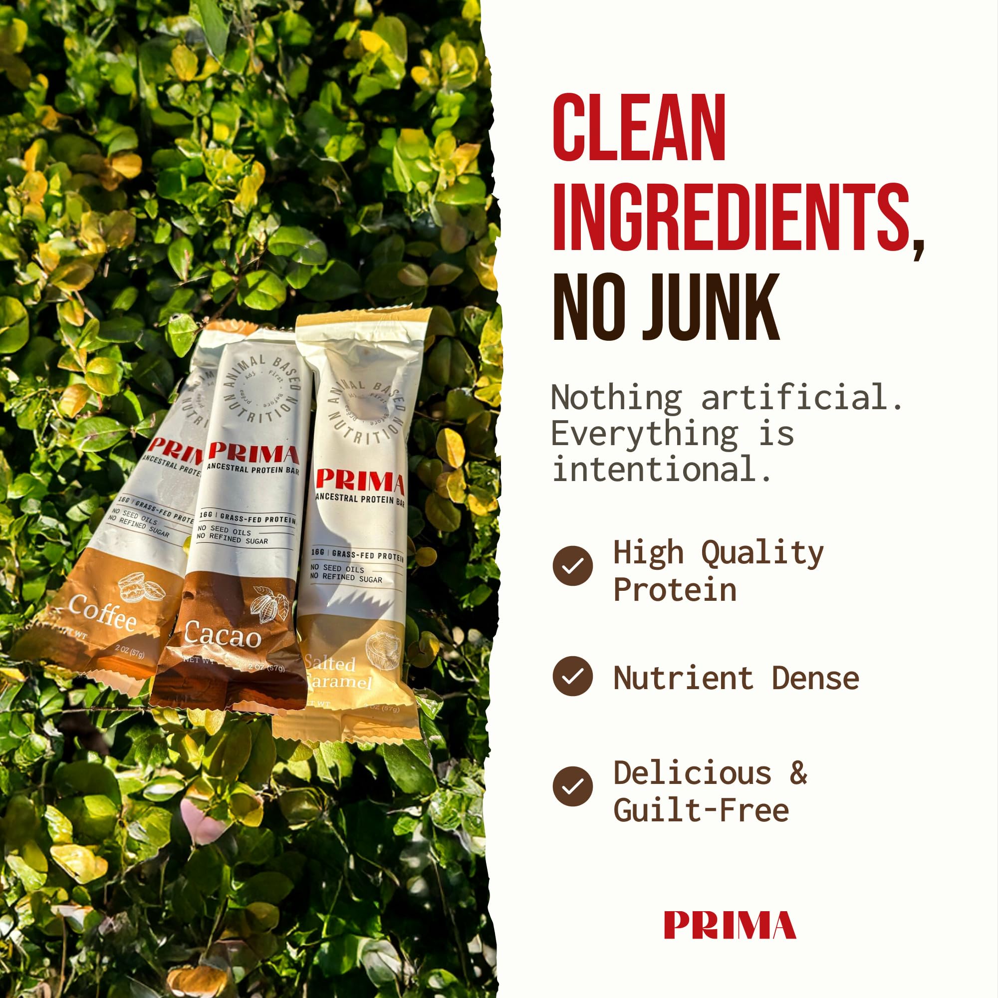 Crumbly texture of PRIMA Ancestral Protein Bar, ideal for quick on the go.