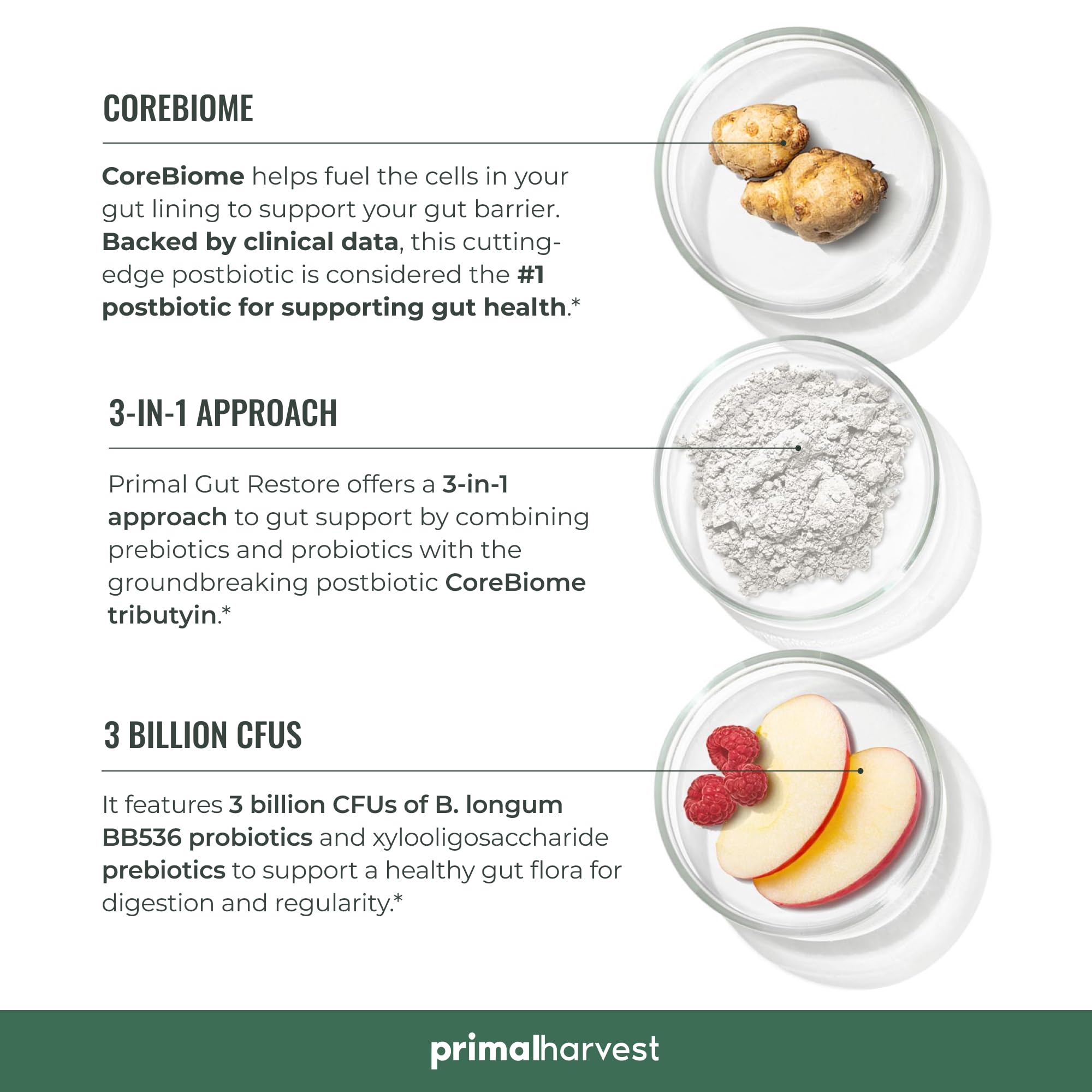 Primal Harvest Primal Gut Restore ingredients chart highlights prebiotics and postbiotics synergy.