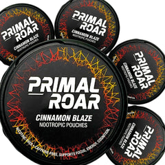 Primal Prelude Cinnamon Blaze pouch for focused work sessions.
