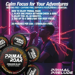 Primal Prelude Orange Cream Nova pouch delivers smooth focus without jitters.
