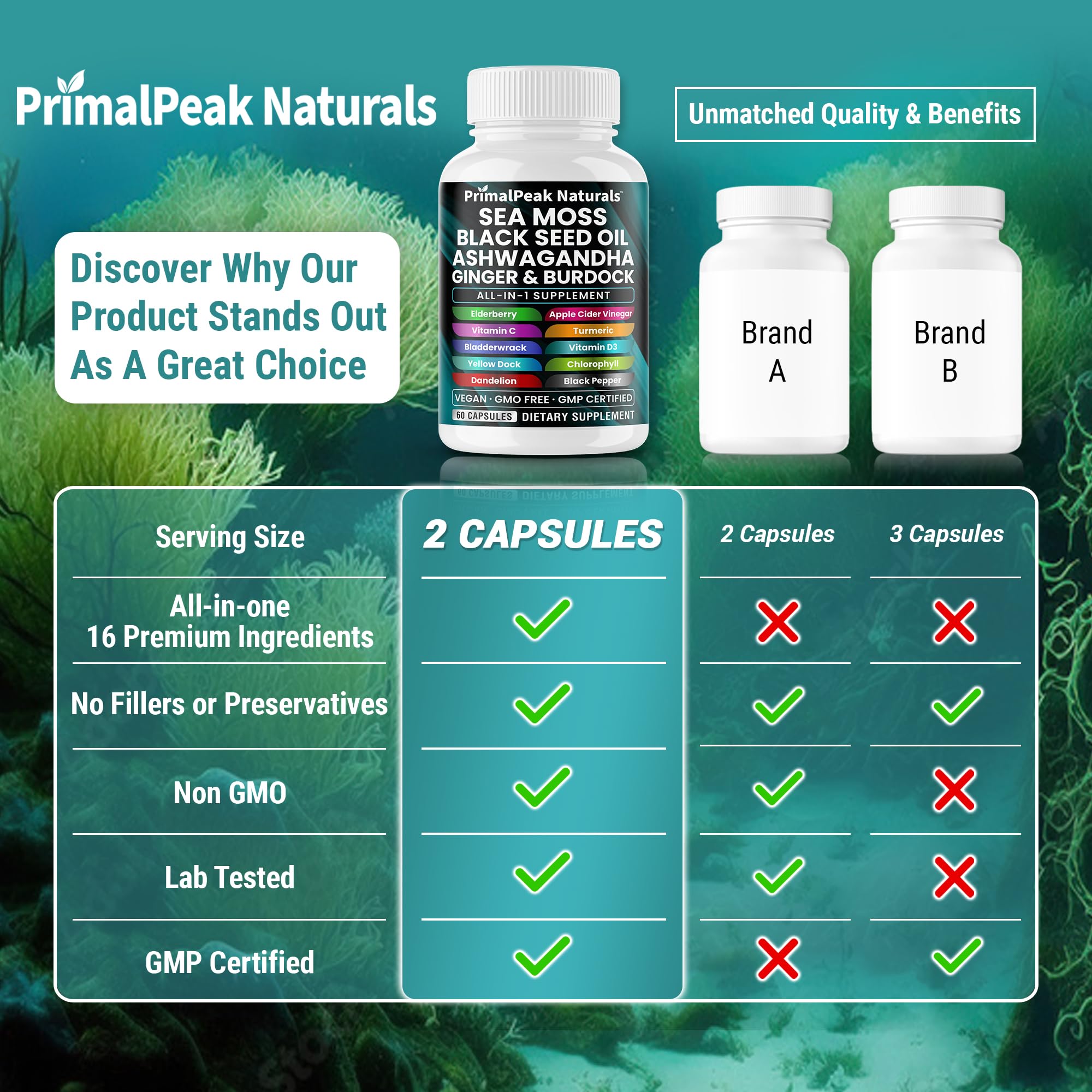 PrimalPeak Naturals Burdock root capsules supporting healthy circulation and daily balance