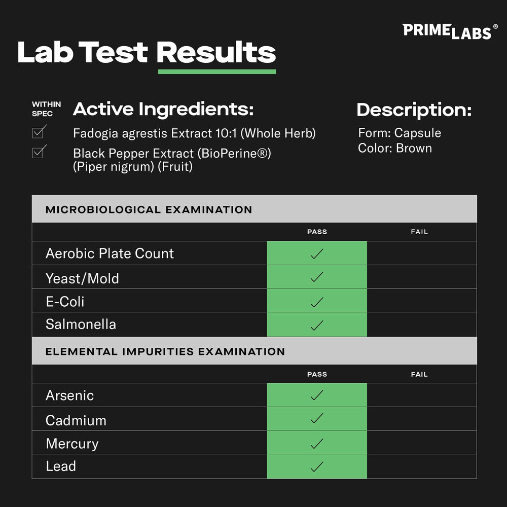 Concentrated 10:1 Fadogia Agrestis extract visual highlight