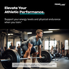 Prime Labs L-Arginine 1500mg capsules in hand showing dosing convenience.