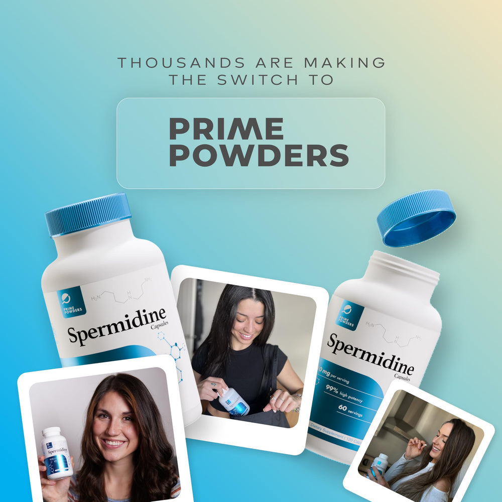 Prime Powders Spermidine packaging displayed beside a glass of water for daily use.