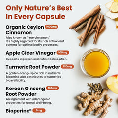 PrimeMD Apple Cider Vinegar capsules bottle supporting digestion-friendly routine