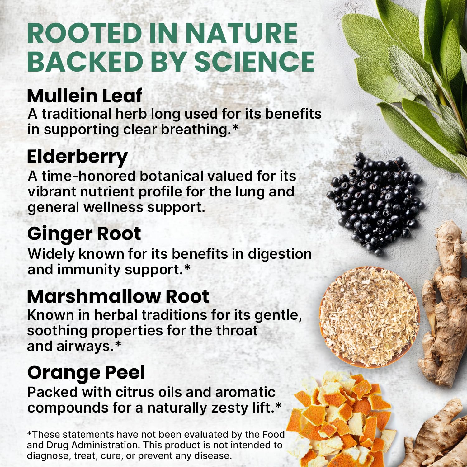 PrimeMD mullein leaf plant detail highlighting natural herbal source for breathing wellness