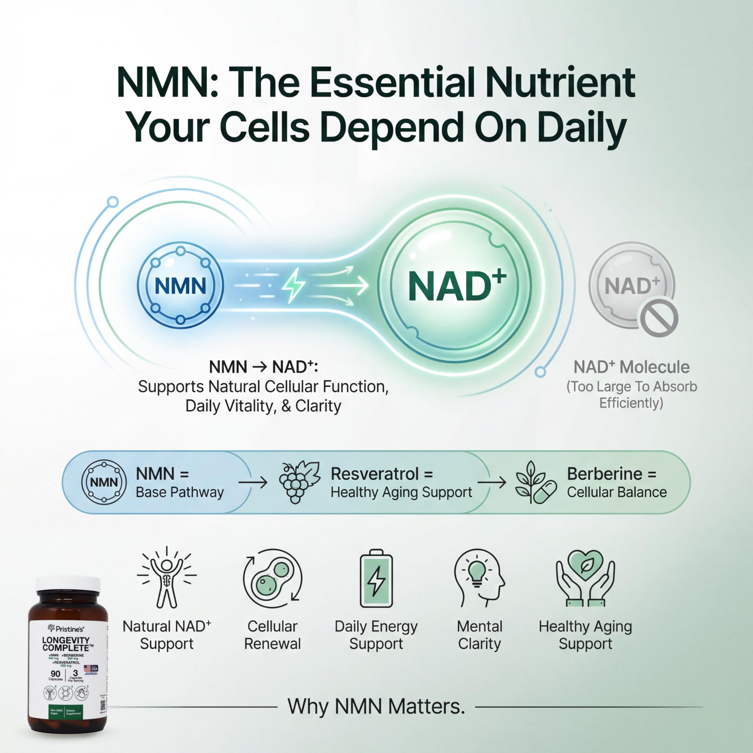Capsules close-up revealing NMN-Berberine-Resveratrol blend for cellular support.