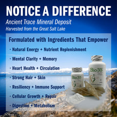 Cold-pressed flaxseed and safflower oil blend in Bio35 supports healthy fats.
