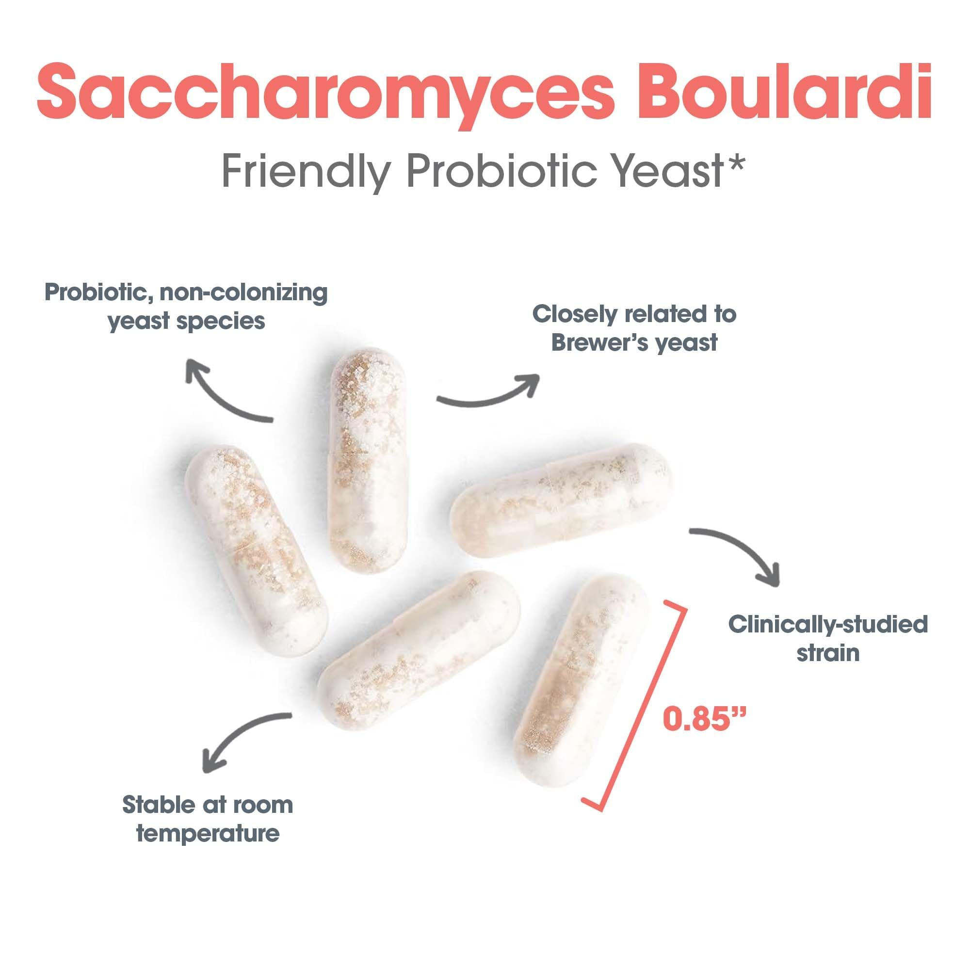 Allergy Research Group probiotic bottle on kitchen counter for easy daily use.