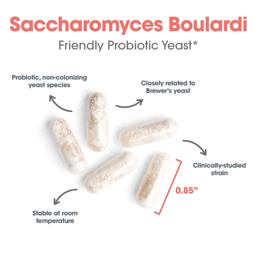 Allergy Research Group probiotic bottle on kitchen counter for easy daily use.