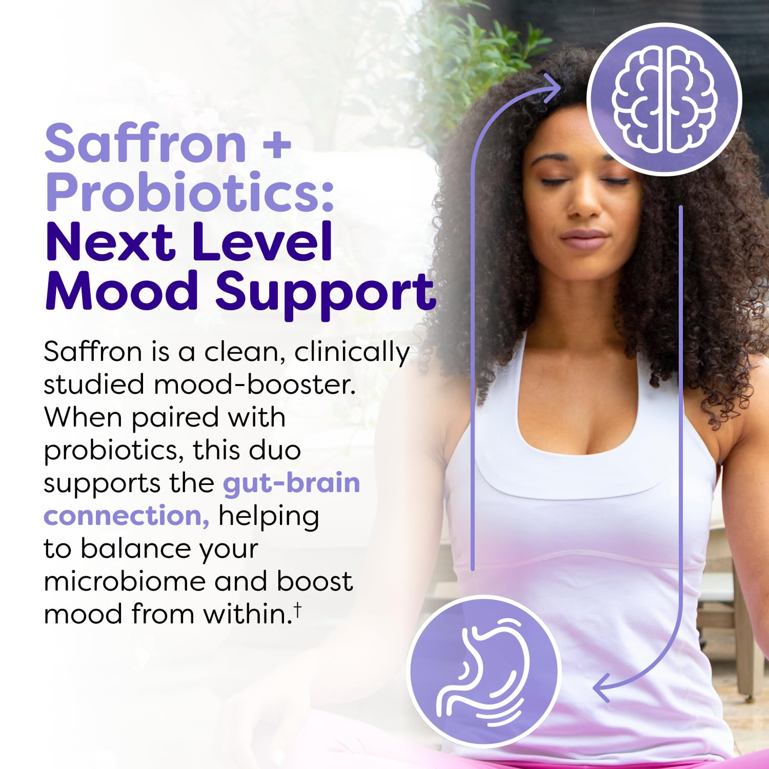 Saffron ingredient highlight in Probulin Mood Probiotics for mood balance.