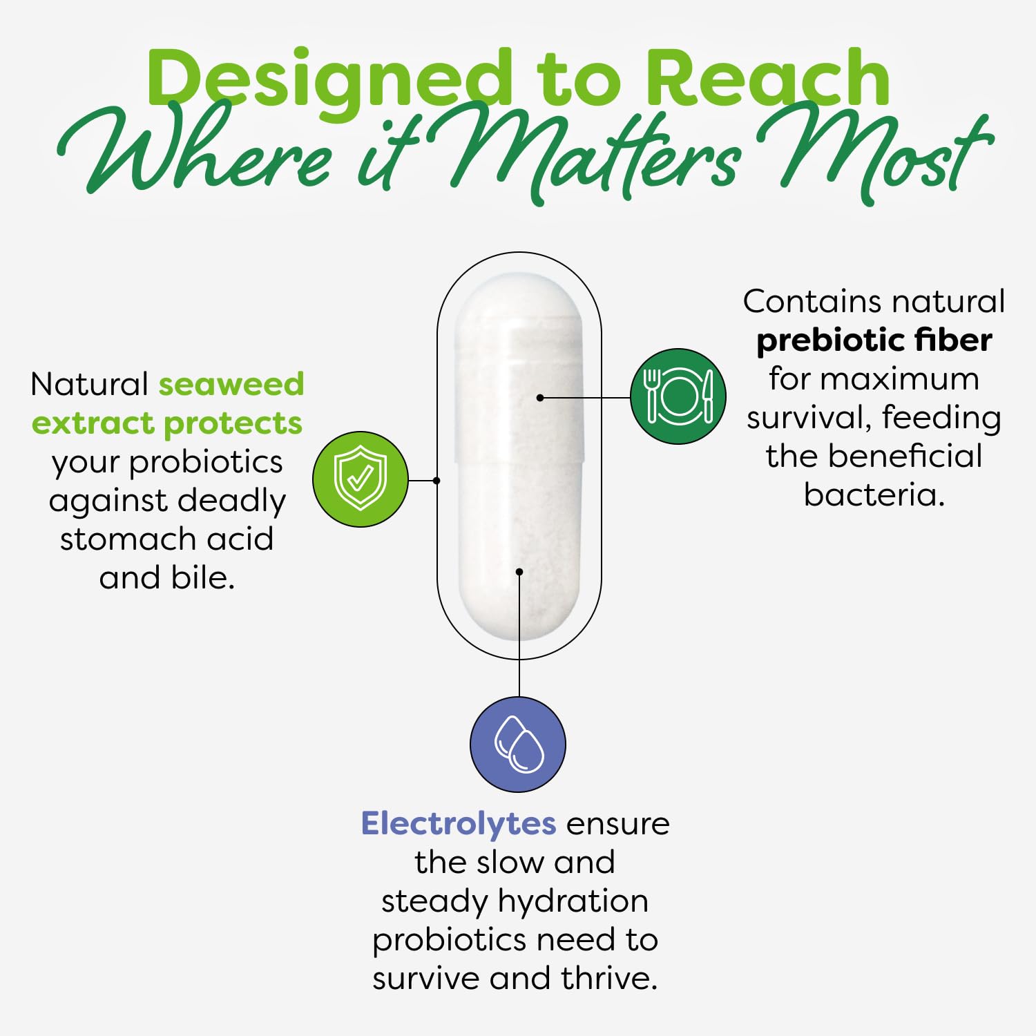 Probulin Total Care daily dose for convenient gut and immune support.