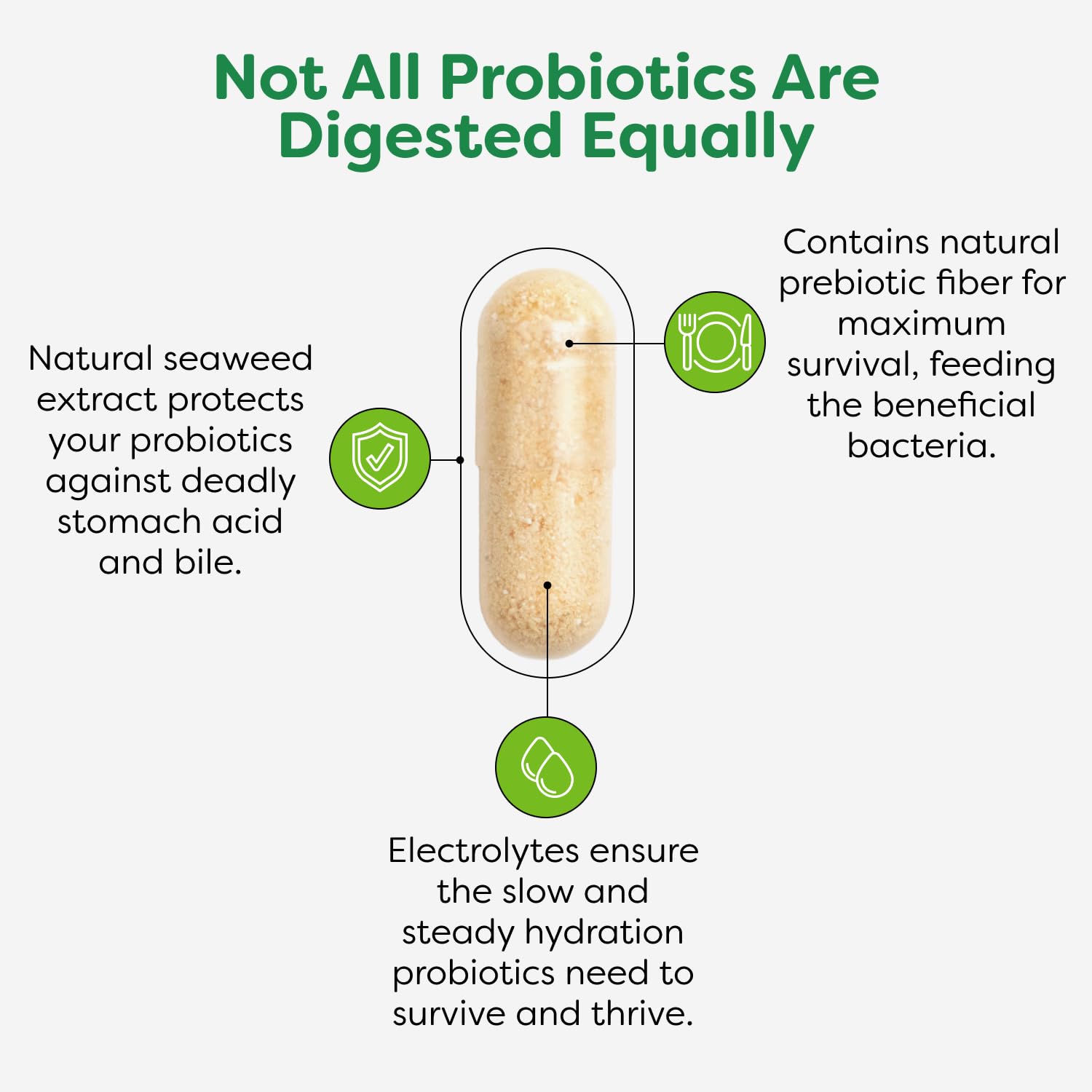 Probulin Total Care with fermented fruits and vegetables illustrated for gut-friendly ingredients.