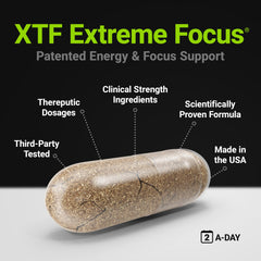Procera XTF capsules in hand suggest portable daily use for memory focus