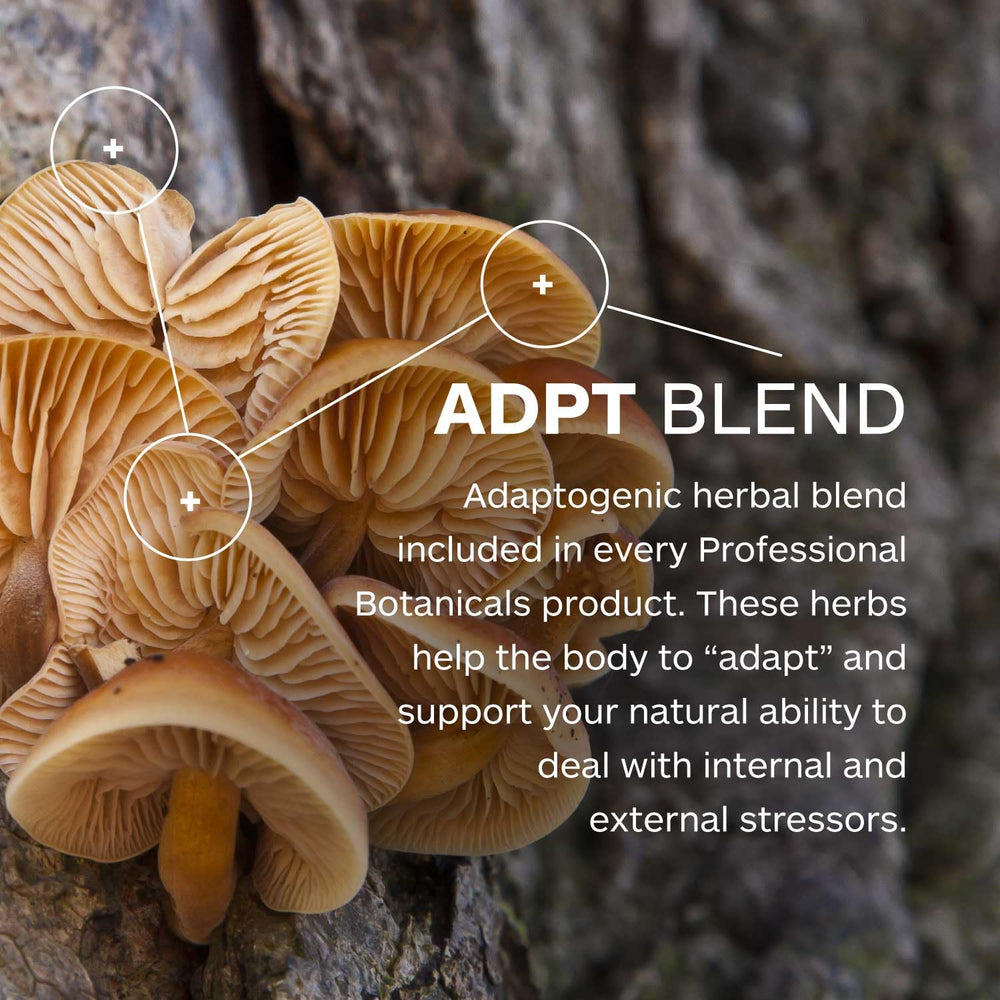 DI-AIDE Enzymes ingredients panel emphasizes natural, vegan, non-GMO components
