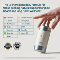 ProleevaMax ginseng-root-powder promotes sustained energy and nerve comfort.
