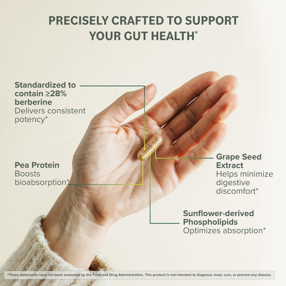 Prominent Nutrition Berberine Phytosome digestive health illustration emphasizes gut balance