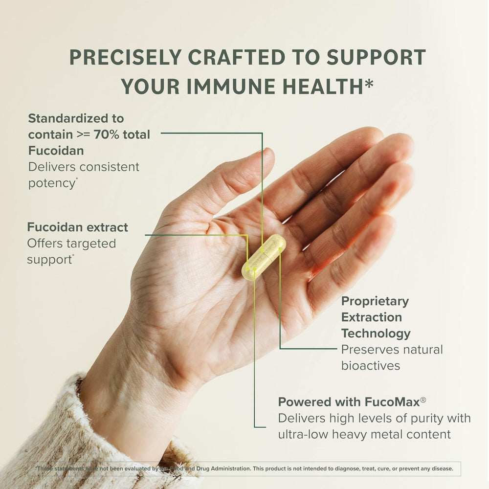 Prominent Nutrition Fucoidan seaweed sources illustrate premium brown algae for immune and digestive support.