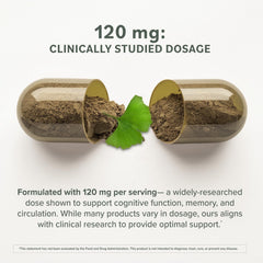 Prominent Nutrition Ginkgo Biloba leaf-extract-120mg highlights potent antioxidant content