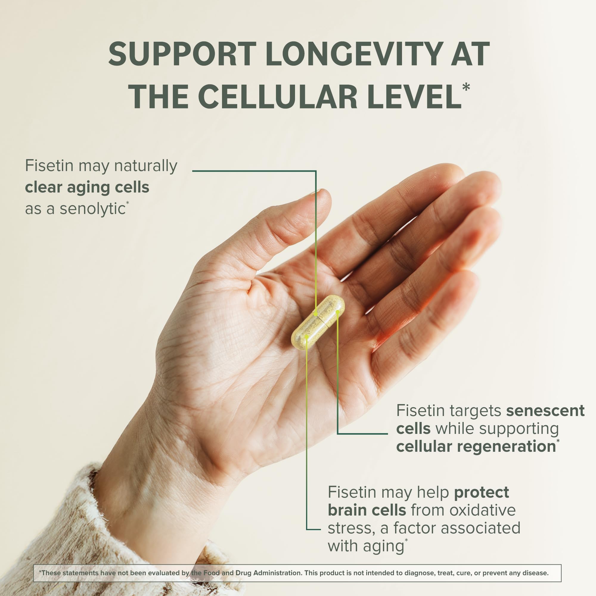 Back panel details on Prominent Nutrition Urolithin A + Fisetin box describe longevity-focused benefits.