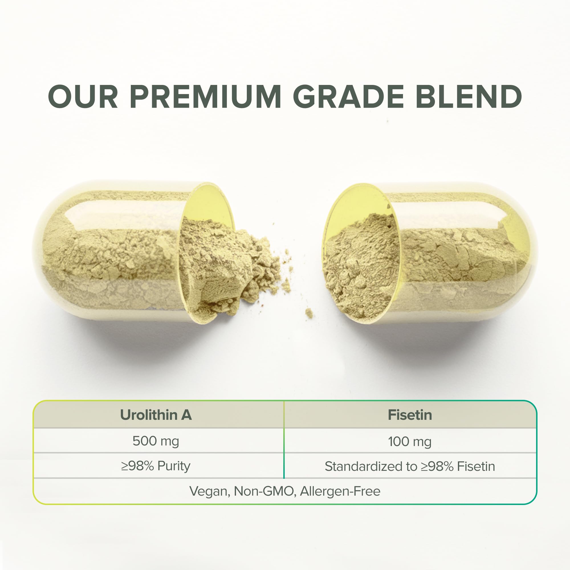 Serving spoon and capsules from Prominent Nutrition Urolithin A + Fisetin illustrating 600 mg per serving.