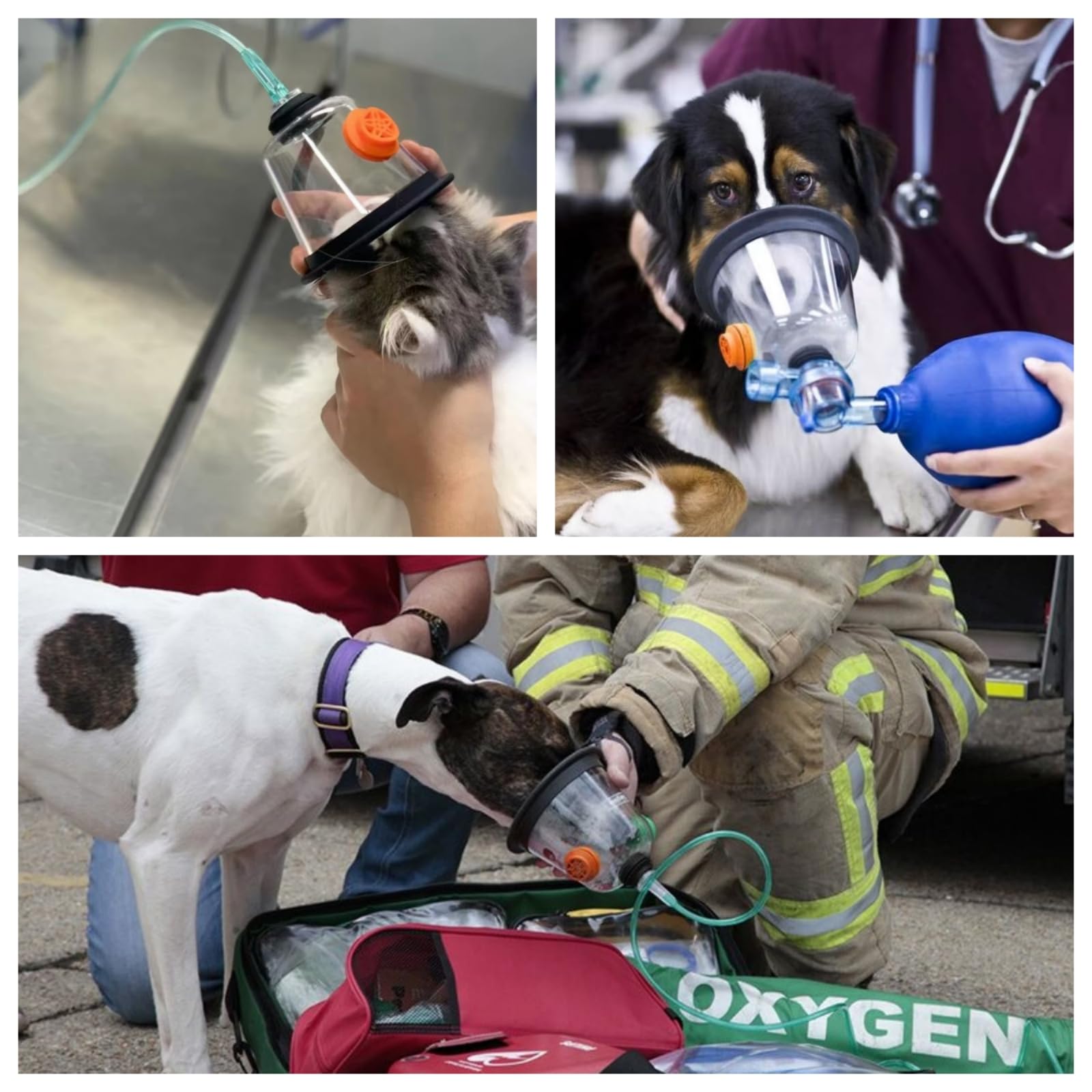 PROMEVET Clinic Therapy Setup demonstrates professional, reliable respiratory support in clinical settings.