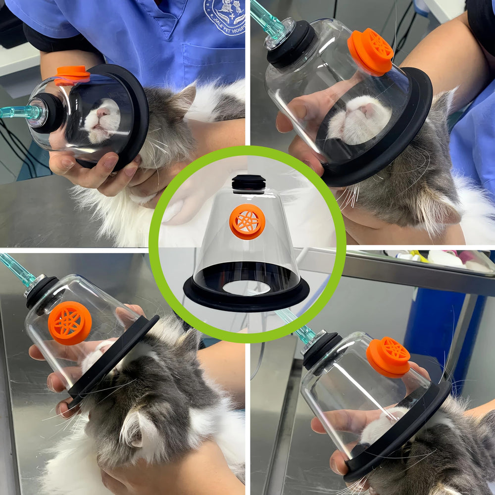PROMEVET Soft Rim Mask fits various faces with low-stress management.