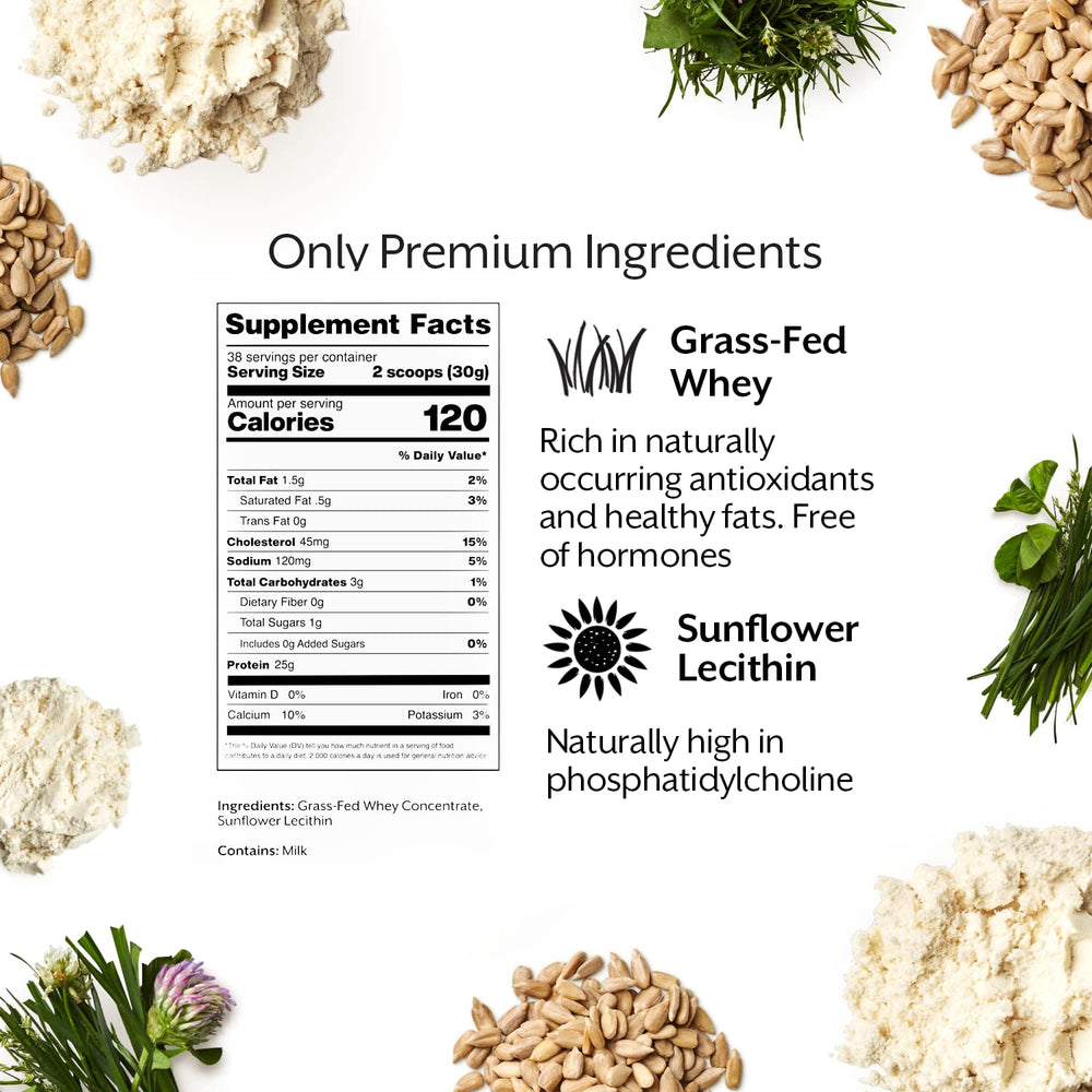 Promix Nutrition baking ideas for protein-rich, tasty treats using whey powder