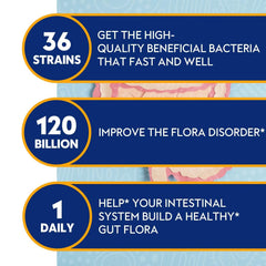 Proriginal Probiotics delayed-release capsules for daily use