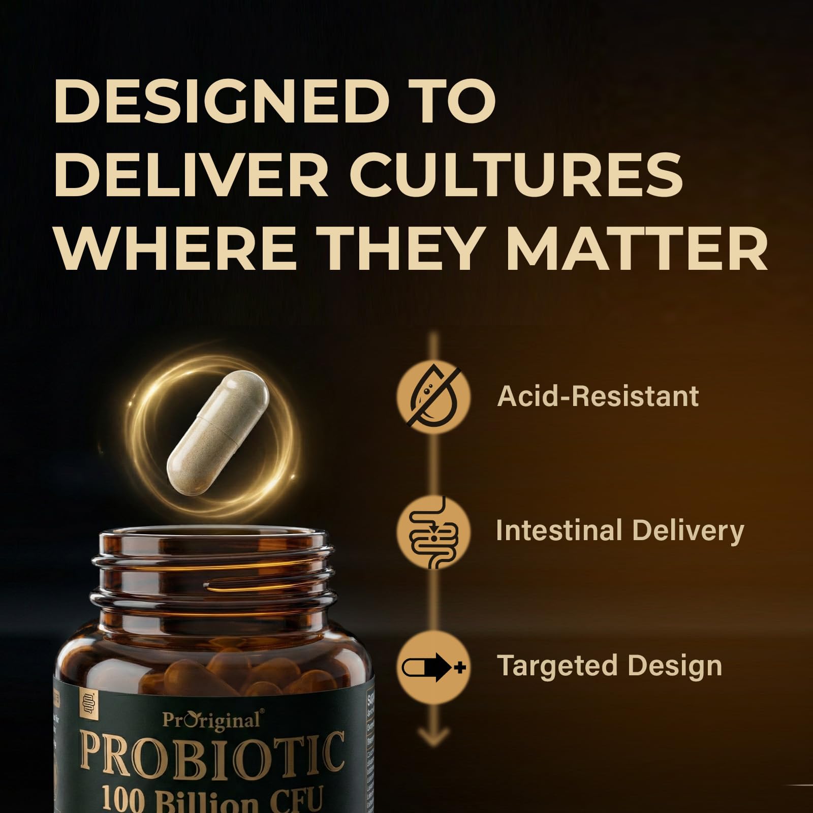 Proriginal probiotics prebiotics and enzymes icon set communicates digestion support.