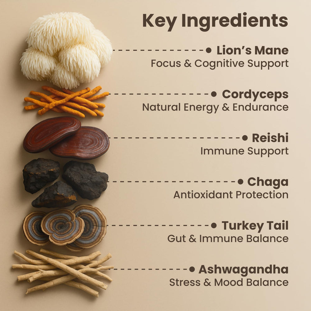 Prosper Mushroom Cocoa as a coffee substitute with a rich aroma