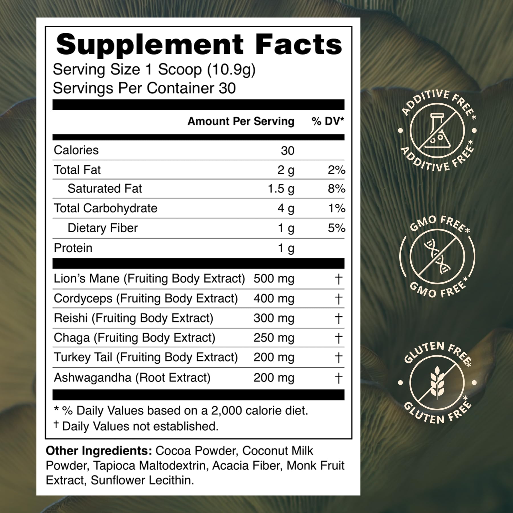 Prosper Mushroom Cocoa powder scoop highlighting premium mushroom blend for daily use