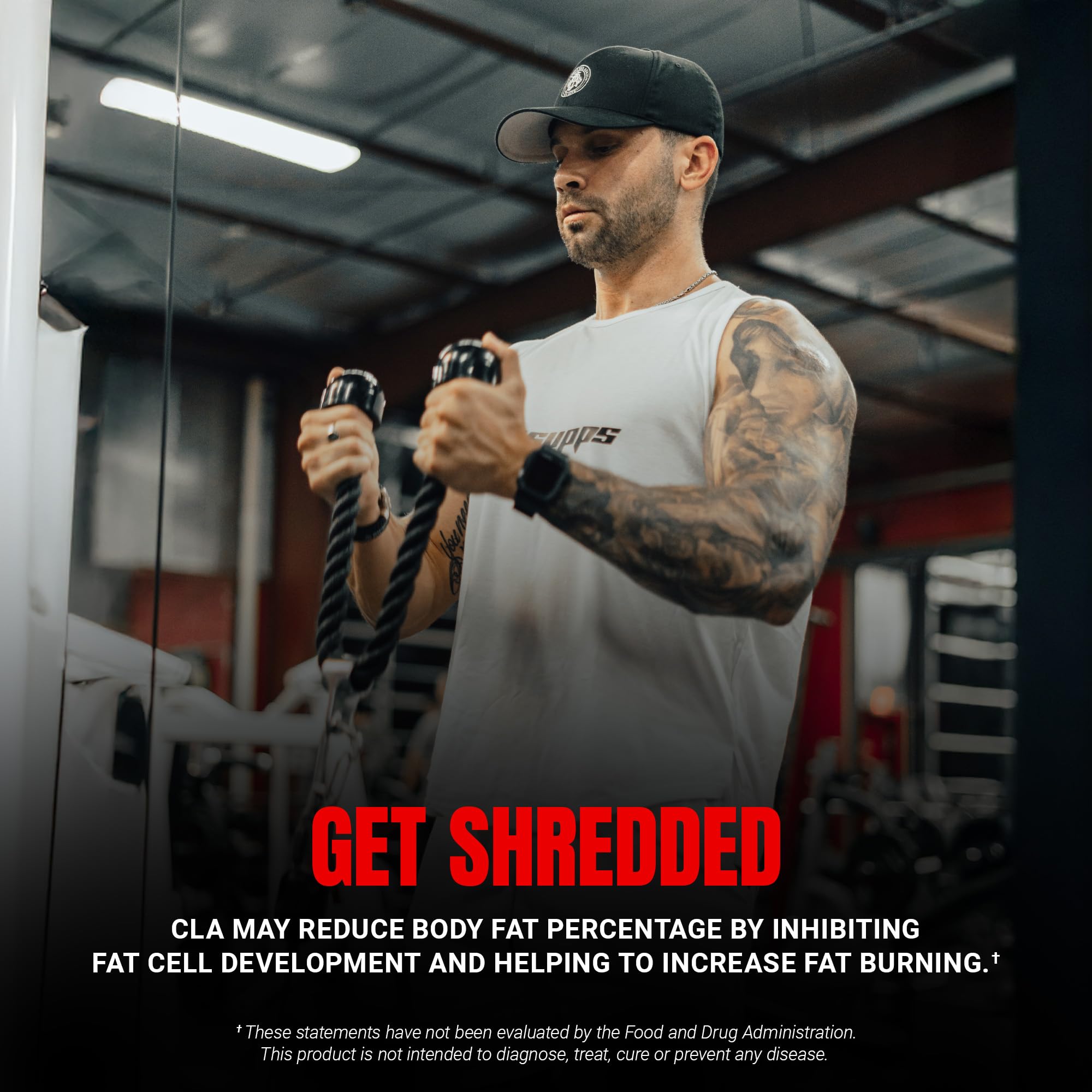 PROSUPPS CLA 3000 bottle highlights appetite support.