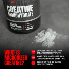 PROSUPPS Creatine Monohydrate powder label closeup showing clean ingredients.