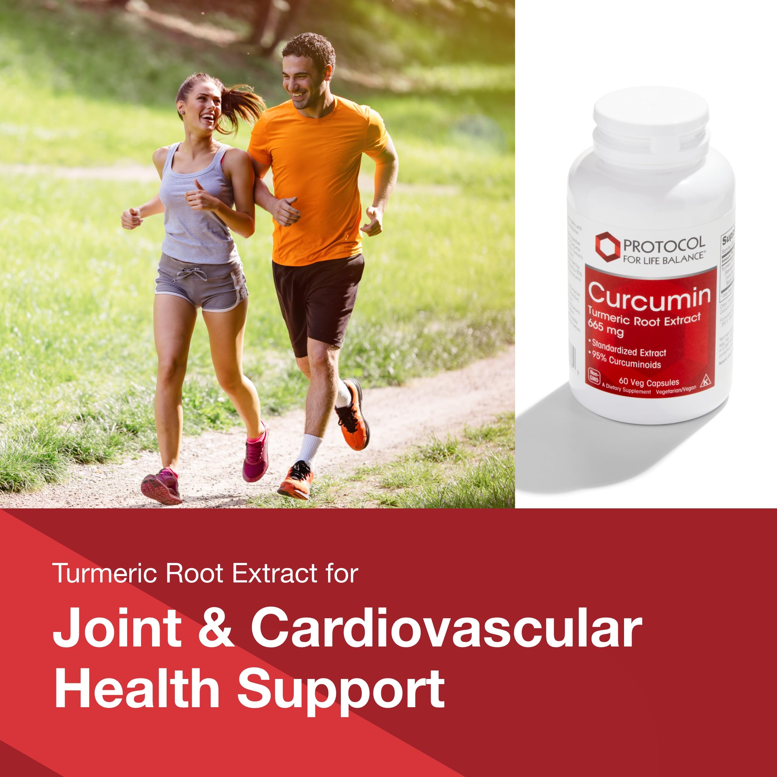 Protocol Curcumin Turmeric bottle label view emphasizes 95% curcuminoids