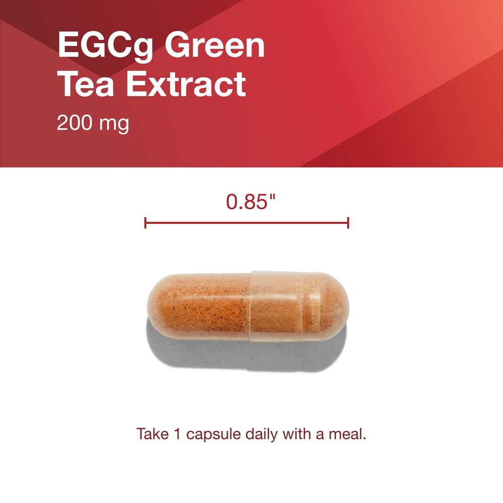 PROTOCOL FOR LIFE BALANCE nutrition label closeup highlighting 200 mg EGCG