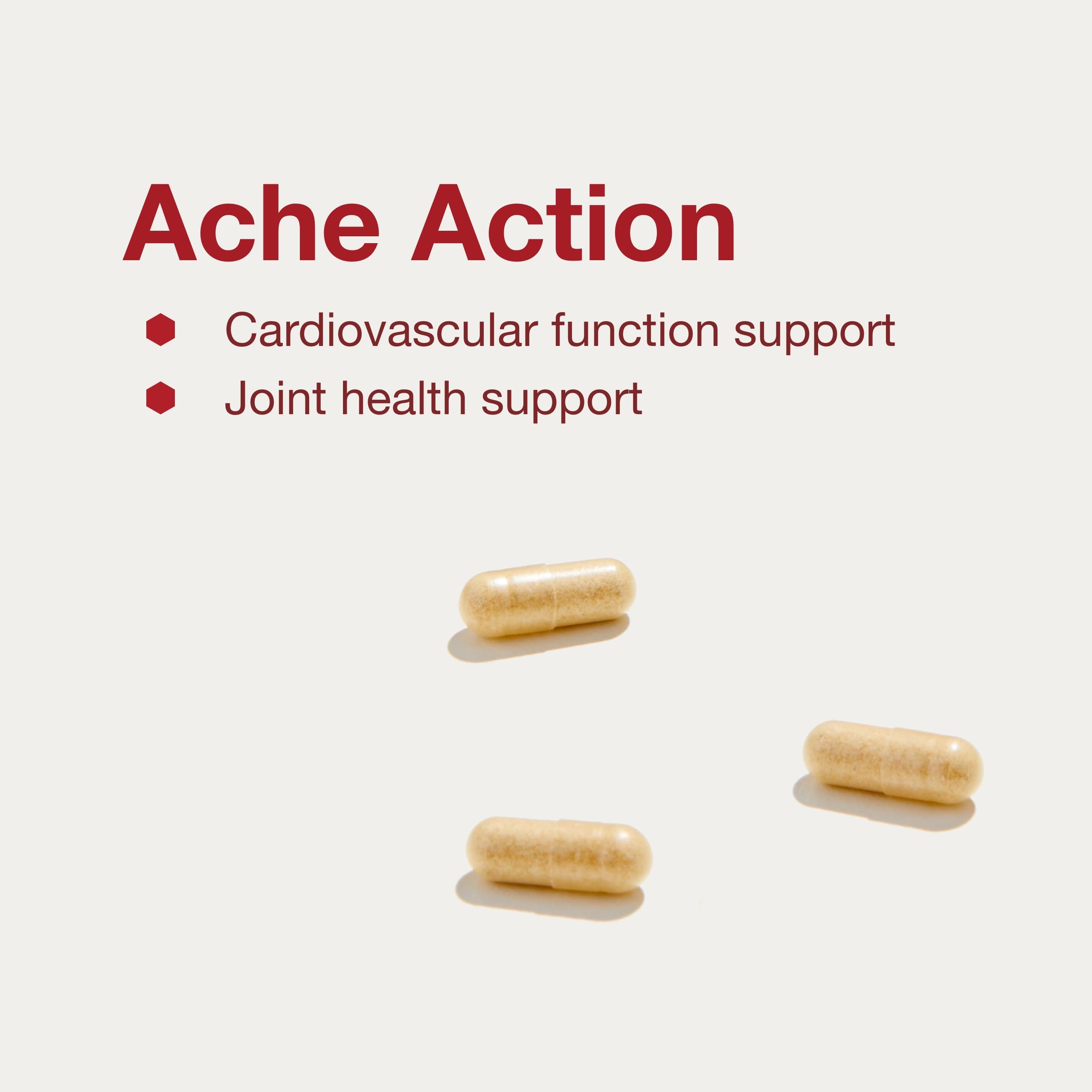 PROTOCOL FOR LIFE BALANCE Ache Action willow bark extract close-up suggests traditional herbal support