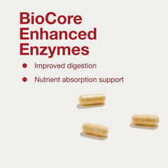 Ingredients visual for BioCore Enhanced Enzymes highlights fungal enzyme blend