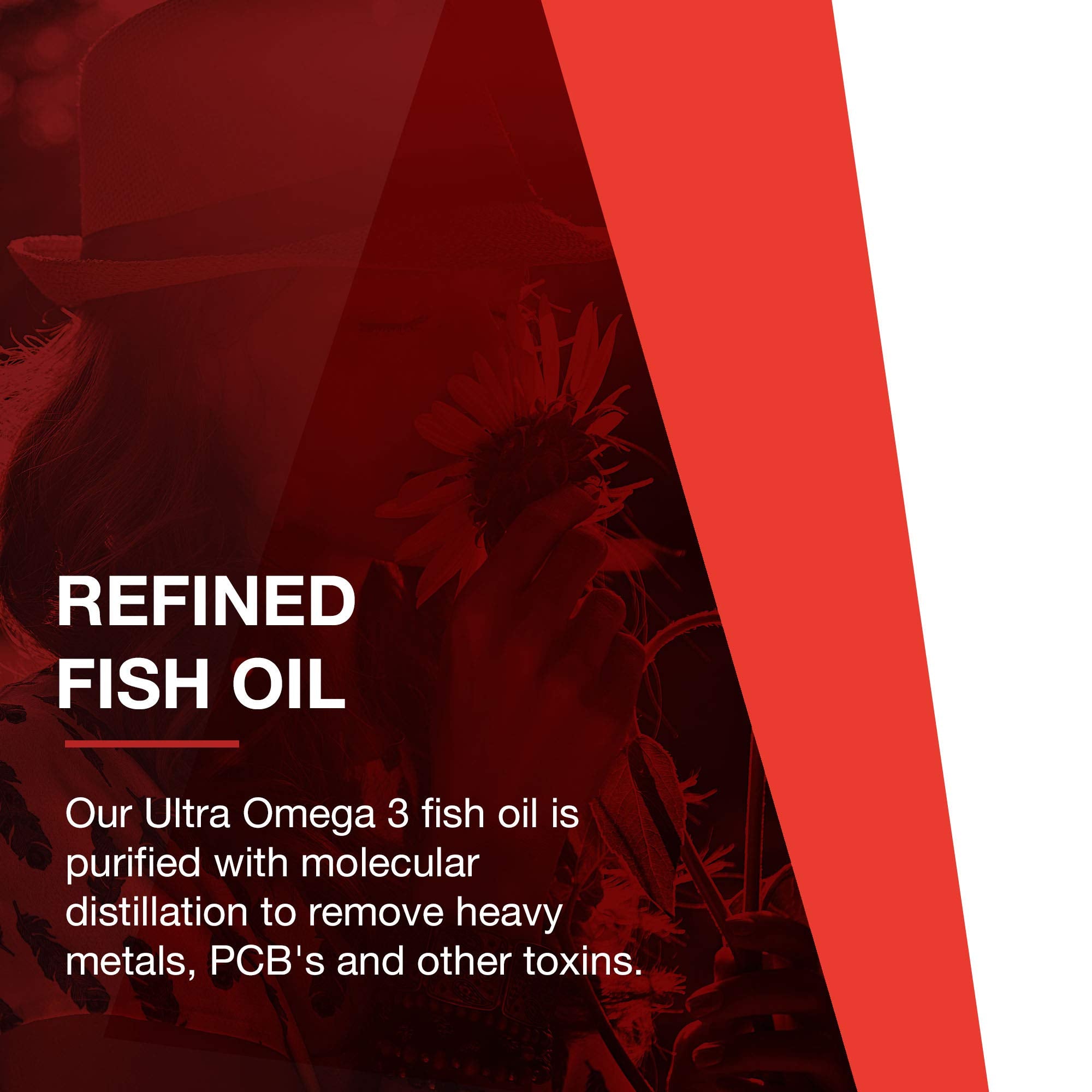 Brain, heart, and nervous health visual associated with Protocol for Life Balance Omega-3.