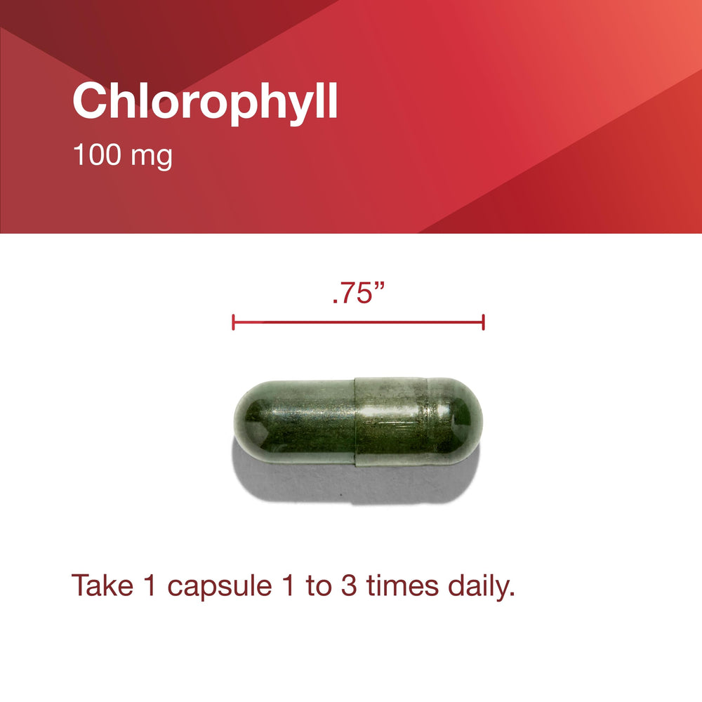 Nutrition facts panel on Protocol Chlorophyll bottle provides transparent product details