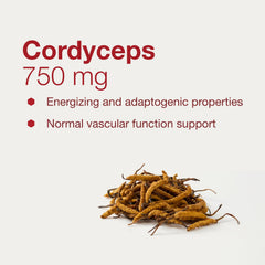 PROTOCOL FOR LIFE BALANCE Cordyceps 750mg packaging front showing GMP quality assurance