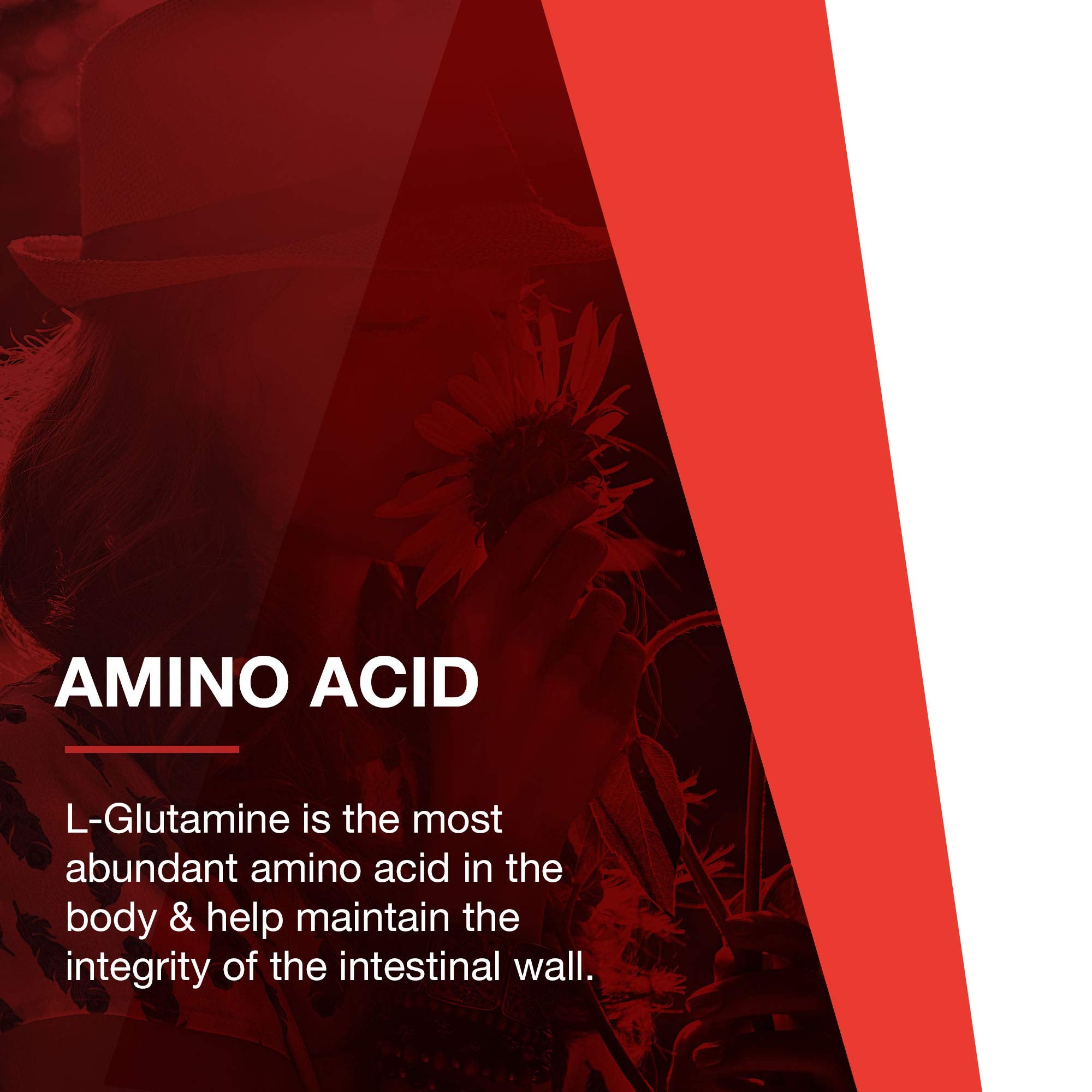 L-Glutamine supporting muscle tissue during training.