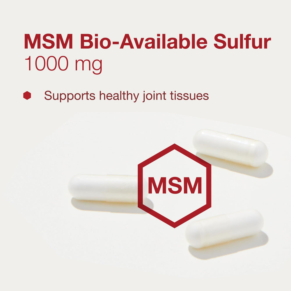 PROTOCOL FOR LIFE BALANCE MSM in hand emphasizes portability for daily support